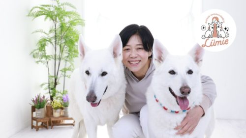 アニマルコミュニケーター中川恵美子と2頭の白い犬が寄り添う写真|Rumie無料相談ページ